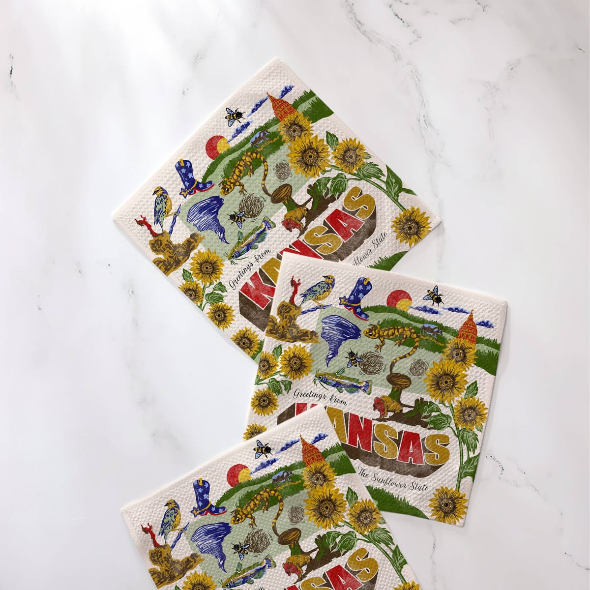Greetings From Kansas Dishcloth Set