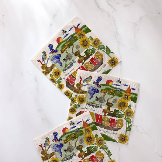 Greetings From Kansas Dishcloth Set