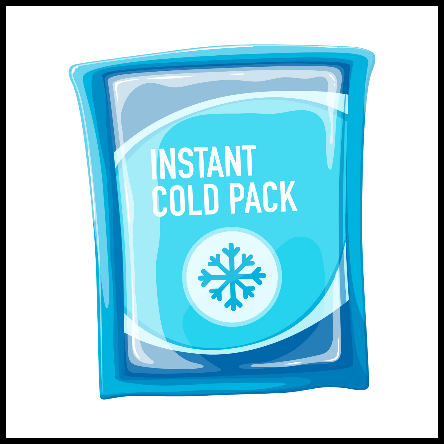 Cold Packs for Shipping